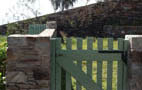 green home